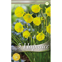 Оксфорд Голд