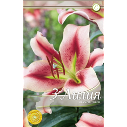 Олимпик Торч