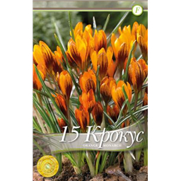 Орандж Монарх