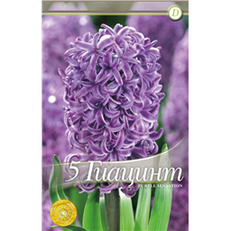 Парпл Сенсейшн