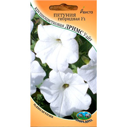Петуния гибридная F1 крупноцветковая Дримс Уайт