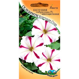 Петуния гибридная F1 многоцветковая Селебрити Бургунди стар