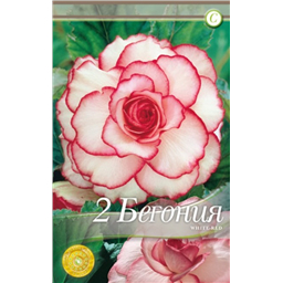 Пикоти Уайт-Ред