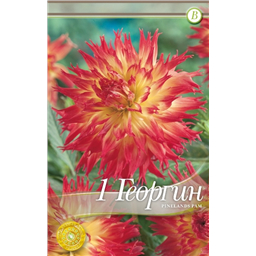 Пинеланд Пам