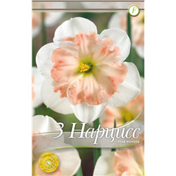 Пинк Вондер