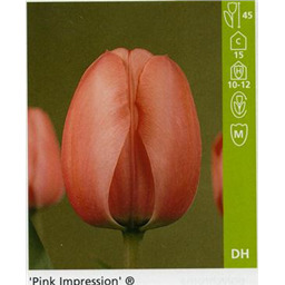 Пинк Импрешн