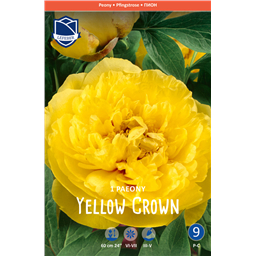 Пион Йеллоу Краун