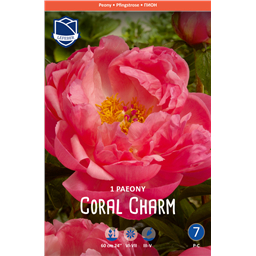 Пион Корал Чарм