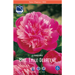 Пион Мадам Эмиль Дебатен