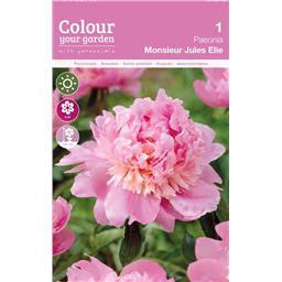 Пион Монсеньор Жюль Эли