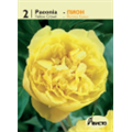 пион Йеллоу Кроун