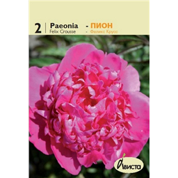 Пион Феликс Крусс