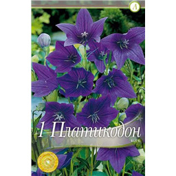 Платикодон Блу