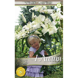 Претти Вумен