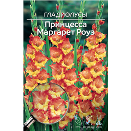 Принцесса  Маргарет Роуз