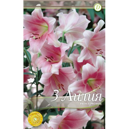 Принц Промис