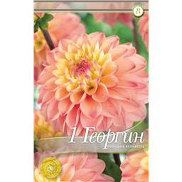 Принцесса Элизабед