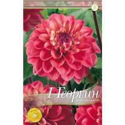 Принцесса Грация