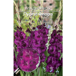 Пурпл Флора