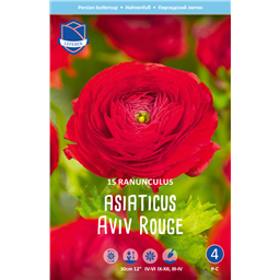 Ранункулюс Авив Ред 