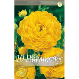 Ранункулюс Йеллоу