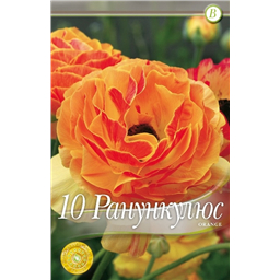 Ранункулюс Оранж