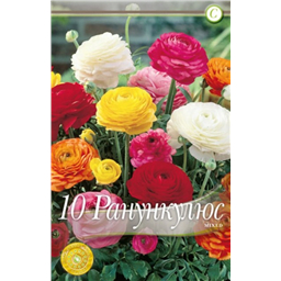 Ранункулюс Смесь