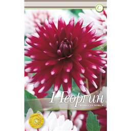 Ребекка Ворлд