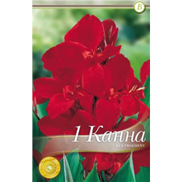 Ред Президент