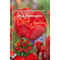 Тюльпан Махровый Ранний Ред Принцесс