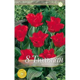 Ред Ридинг Худ Дабл