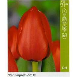 Ред Импрешн