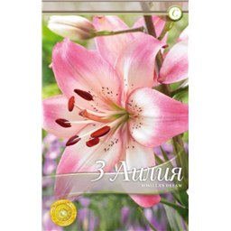 Розеллас Дрим