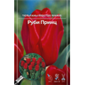 Тюльпан Простой Ранний Руби Принц