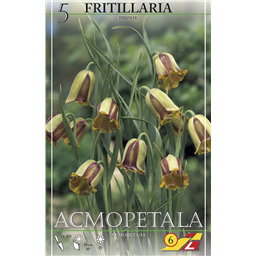 Рябчик Акмопетала