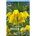Рябчик Империалис Лютеа