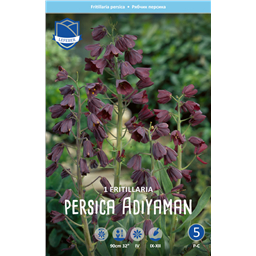 Рябчик Персика