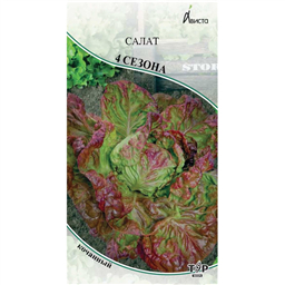 Салат  4 Сезона 