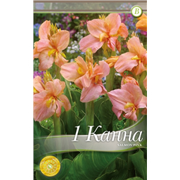 Салмон Пинк