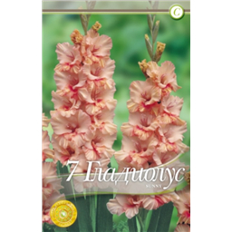 Санни Раффл