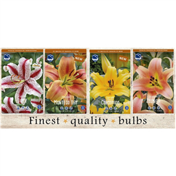 SBL-03 Лилии Восточные (160pcs.)16/+