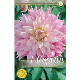 Сэр Альф Рамсей