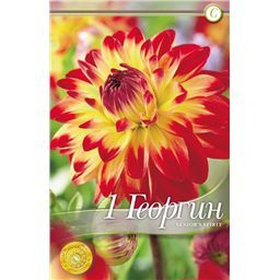 Синьорс Спирит