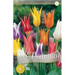 Смесь лилиецветных тюльпанов