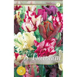 Смесь попугайных тюльпанов 