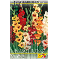 Смесь разноцветных гладиолусов баттерфляй