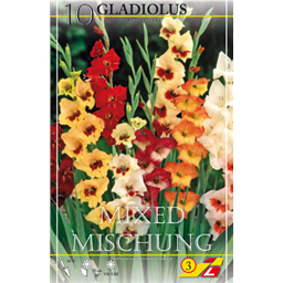 Смесь разноцветных гладиолусов баттерфляй