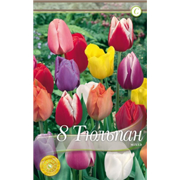Смесь триумф тюльпанов