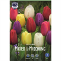 Смесь триумф тюльпанов XXL