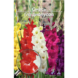 Смесь гладиолусов